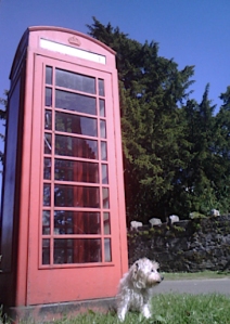 K6 telephone box and the Fortingall Yew tree
