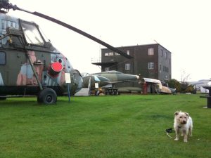 Pickles at dumfries airfield
